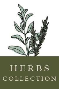 herb