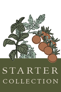 starter